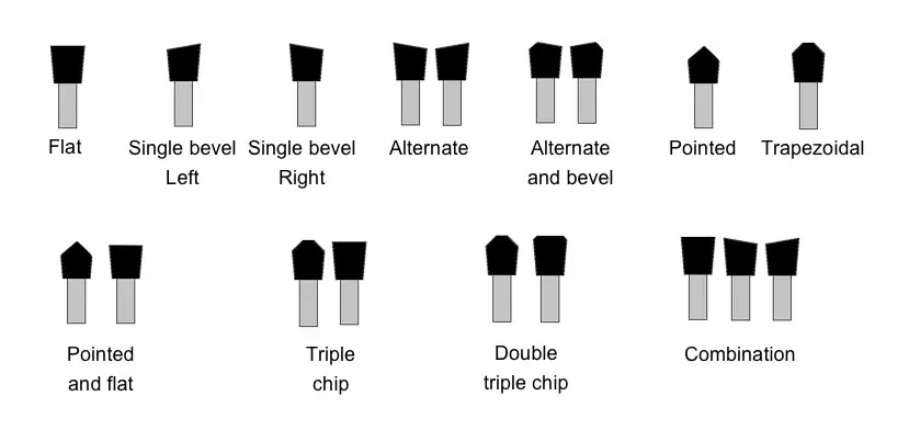 standard tooth back shapes